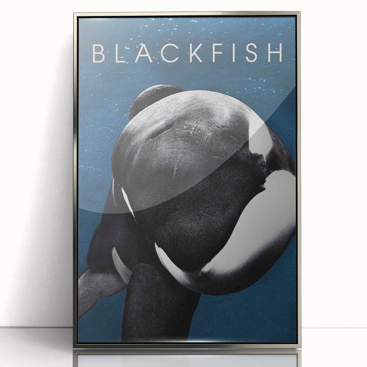 2010s Movie Poster Art - Blackfish Retro Vintage Film Print