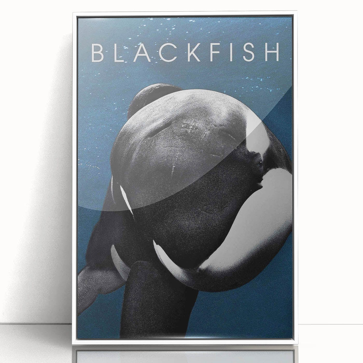 2010s Movie Poster Art - Blackfish Retro Vintage Film Print