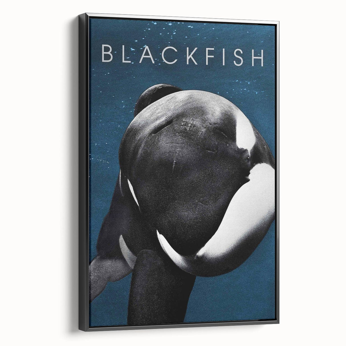 2010s Movie Poster Art - Blackfish Retro Vintage Film Print
