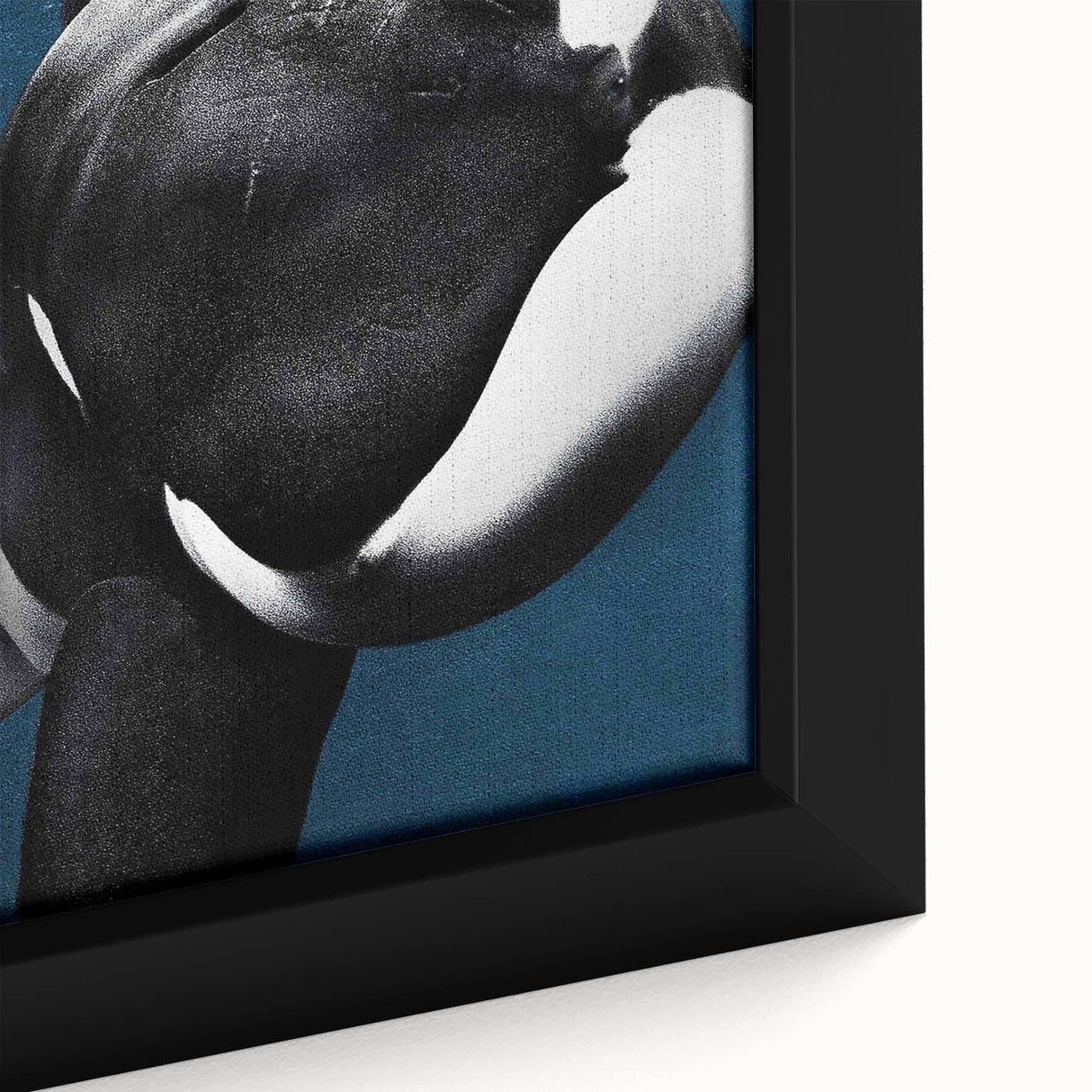 2010s Movie Poster Art - Blackfish Retro Vintage Film Print
