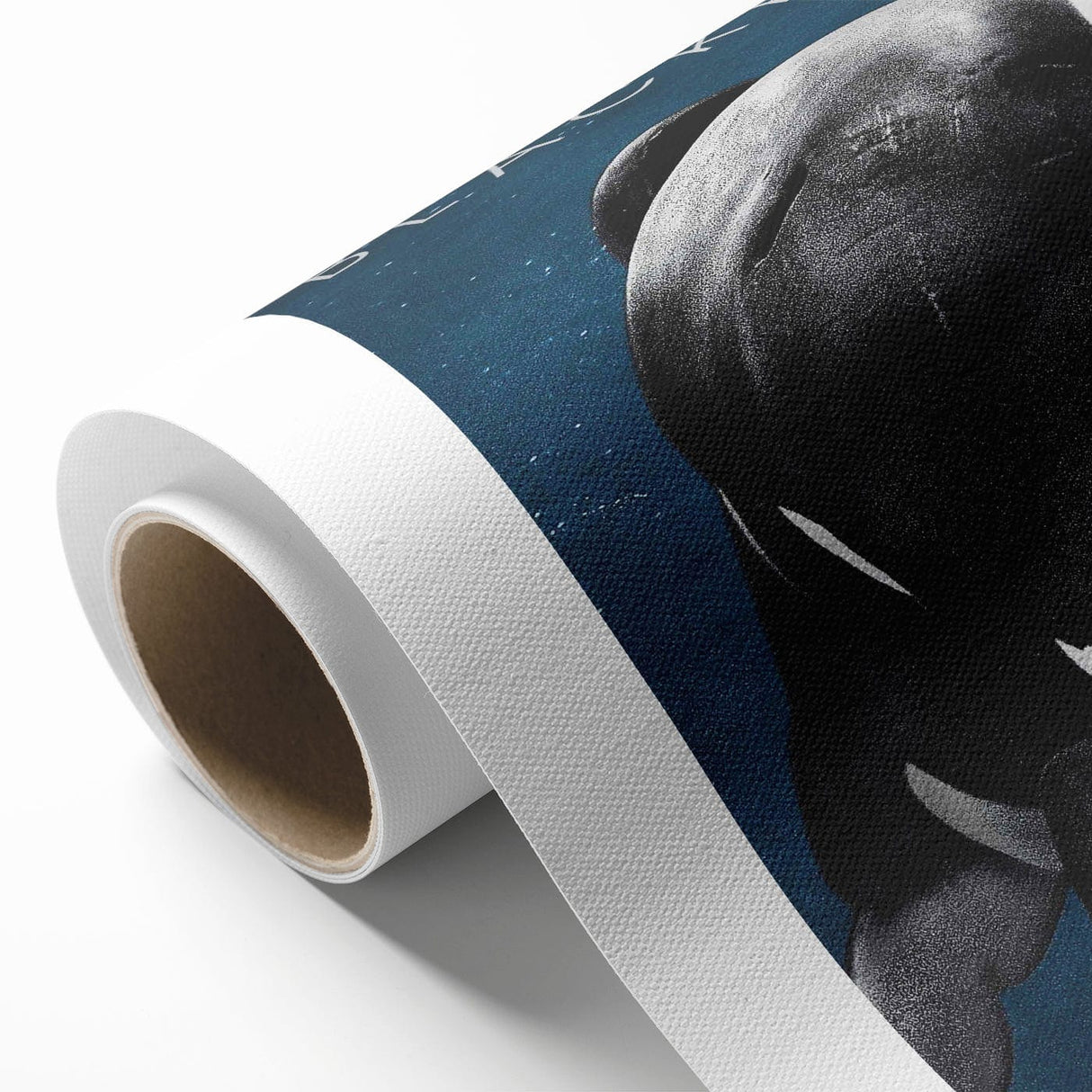 2010s Movie Poster Art - Blackfish Retro Vintage Film Print