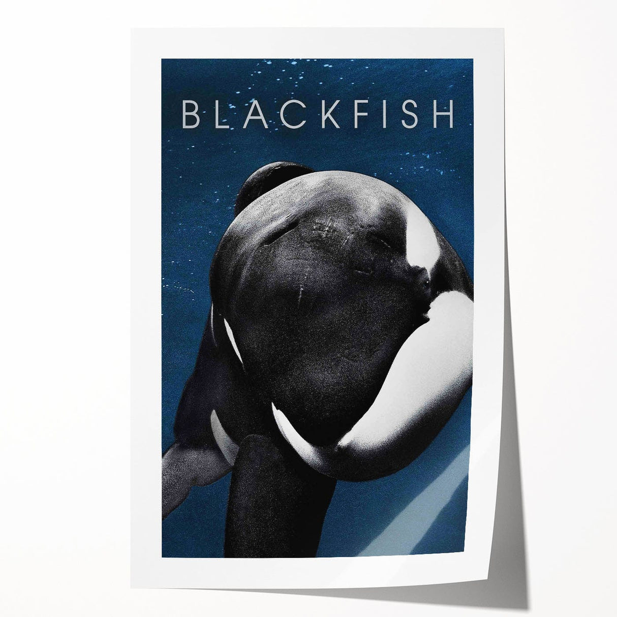 2010s Movie Poster Art - Blackfish Retro Vintage Film Print