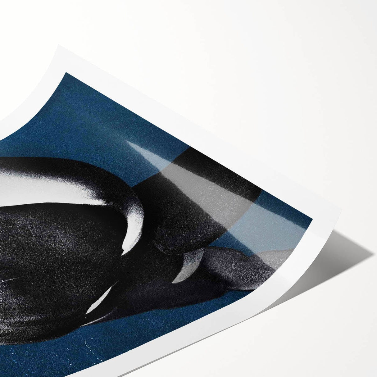 2010s Movie Poster Art - Blackfish Retro Vintage Film Print