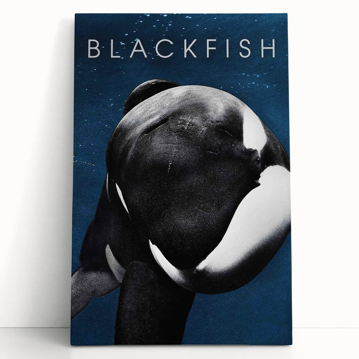 2010s Movie Poster Art - Blackfish Retro Vintage Film Print