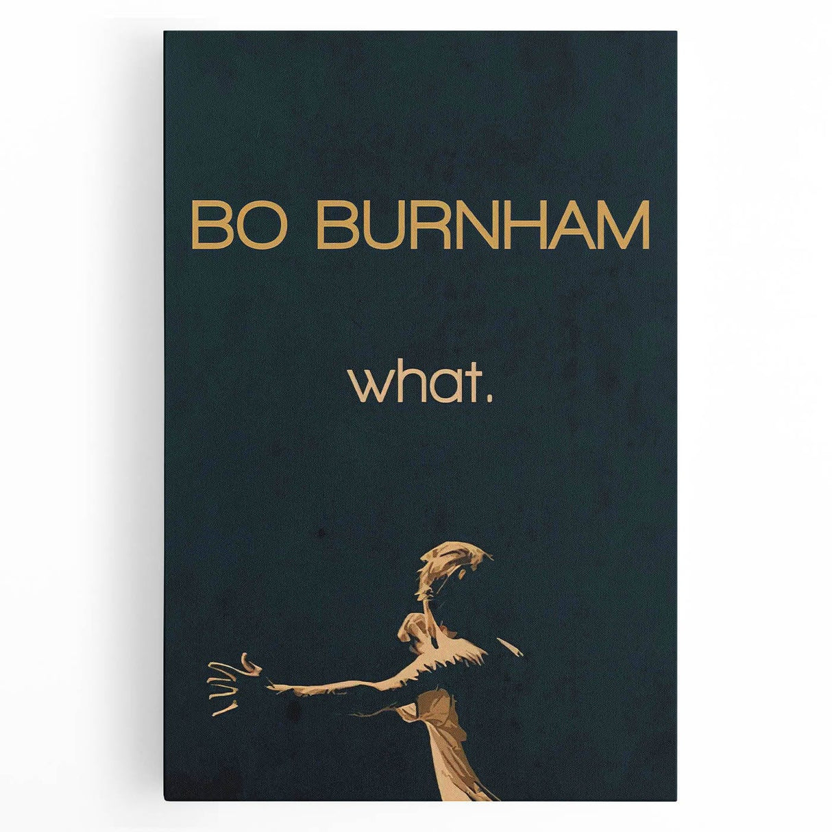 2010s Movie Poster Art - Bo Burnham what. Retro Vintage Film Print
