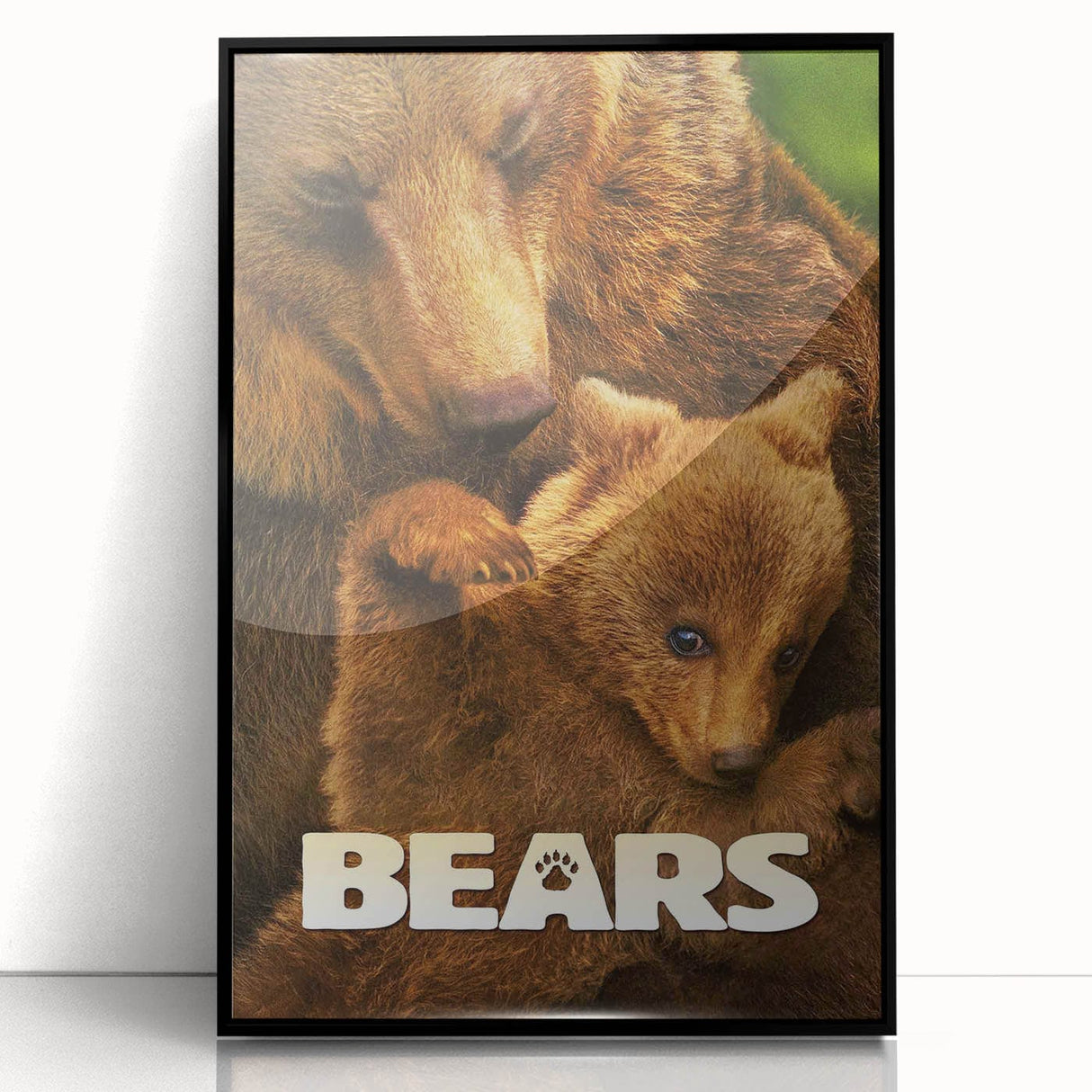 2010s Movie Poster Art – Vintage Bears Documentary Retro Wall Print