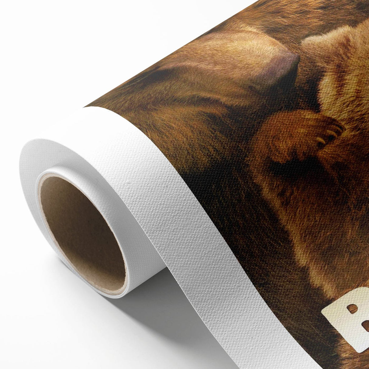 2010s Movie Poster Art – Vintage Bears Documentary Retro Wall Print