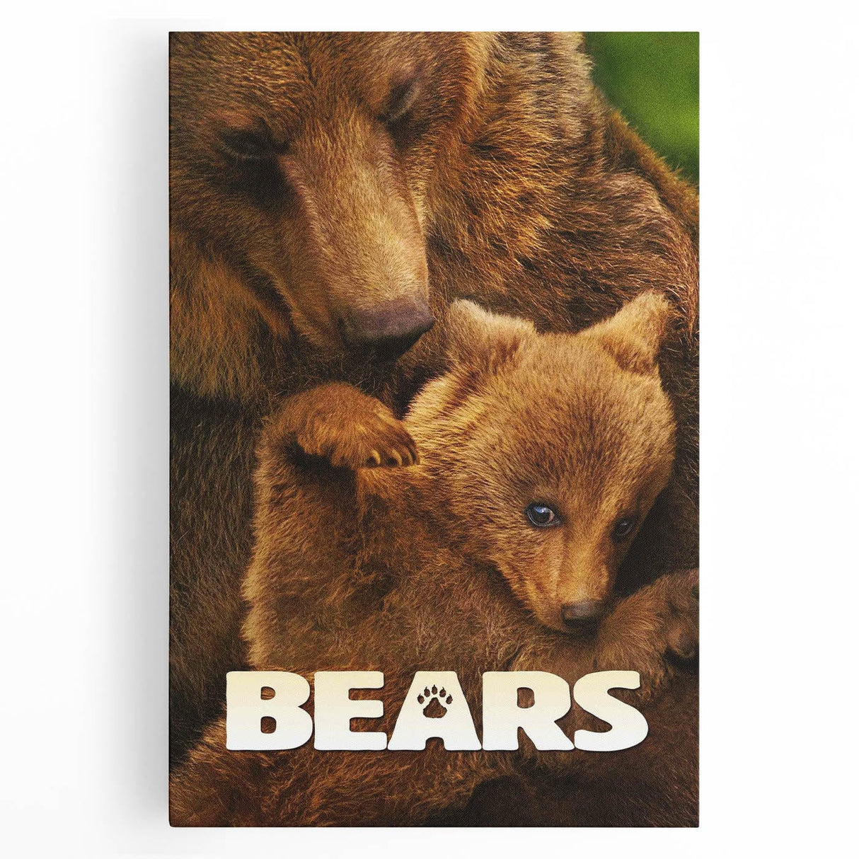 2010s Movie Poster Art – Vintage Bears Documentary Retro Wall Print