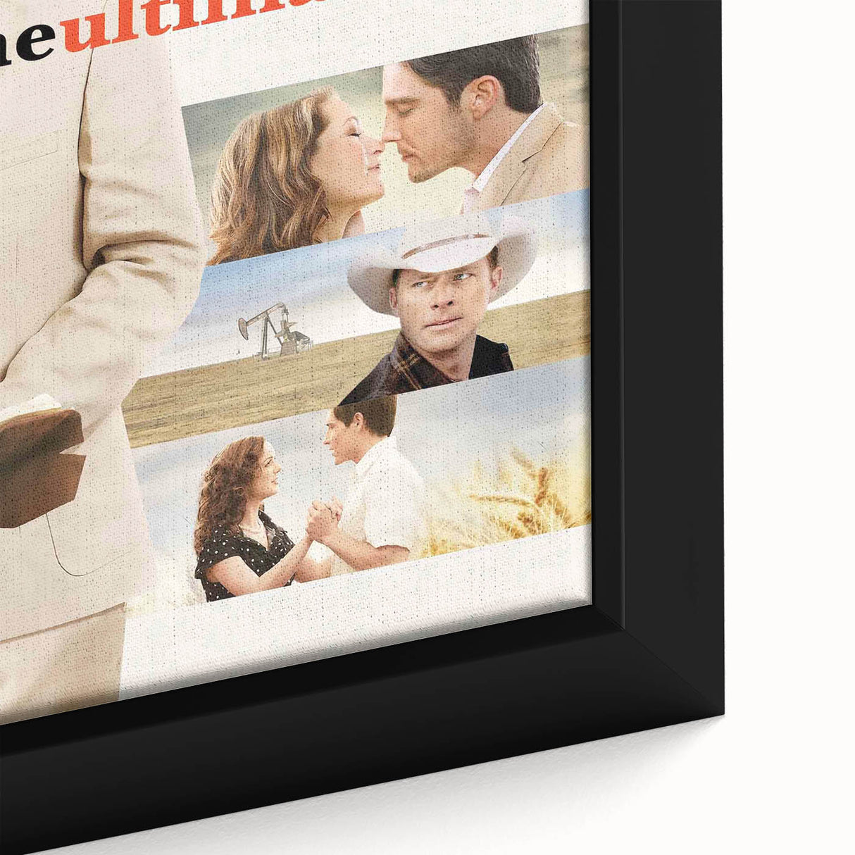2010s Movie Poster Art - The Ultimate Life Vintage Movie Poster Print