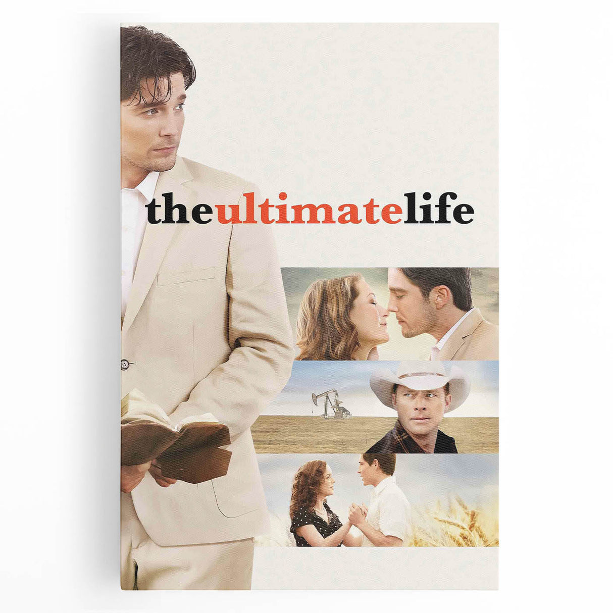2010s Movie Poster Art - The Ultimate Life Vintage Movie Poster Print