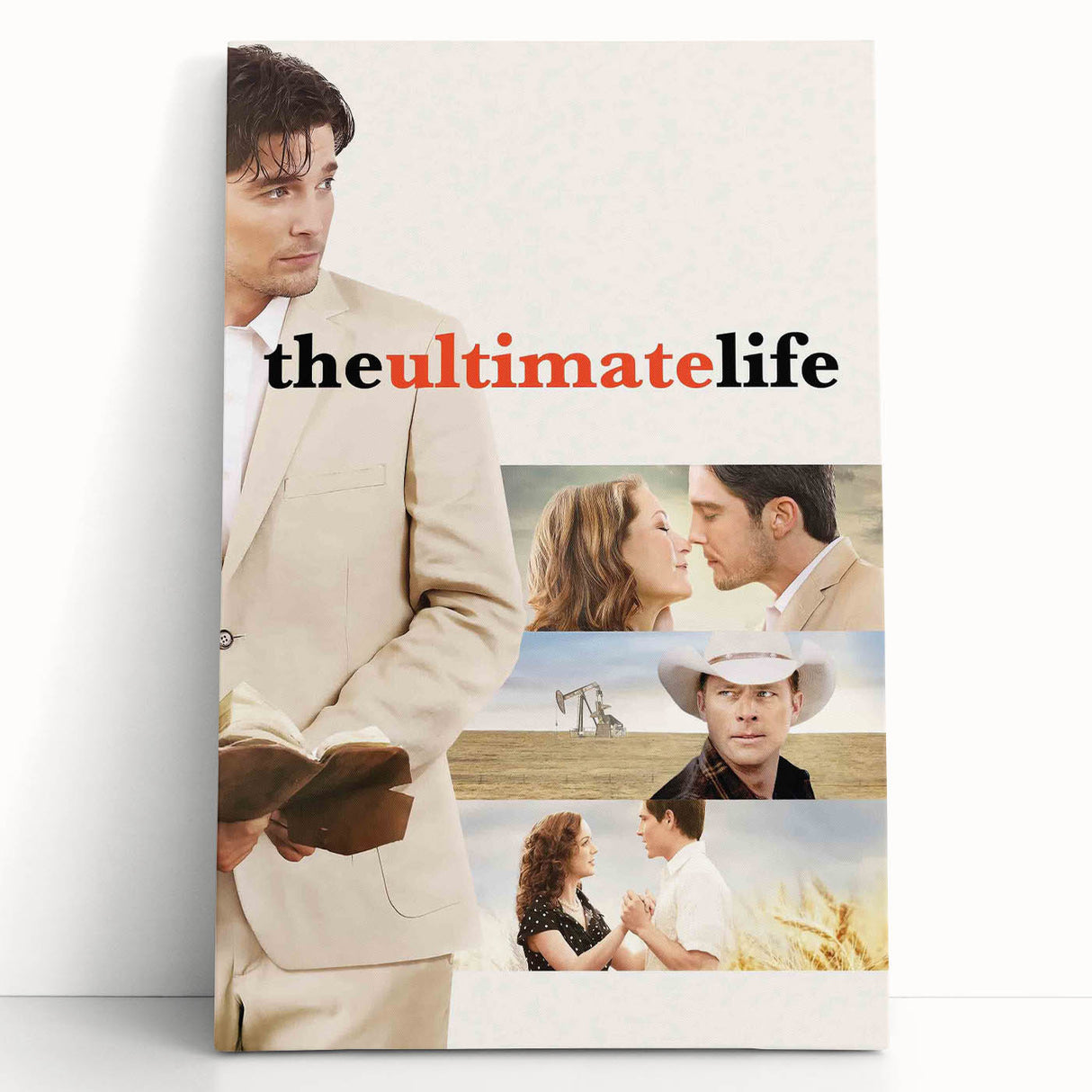 2010s Movie Poster Art - The Ultimate Life Vintage Movie Poster Print