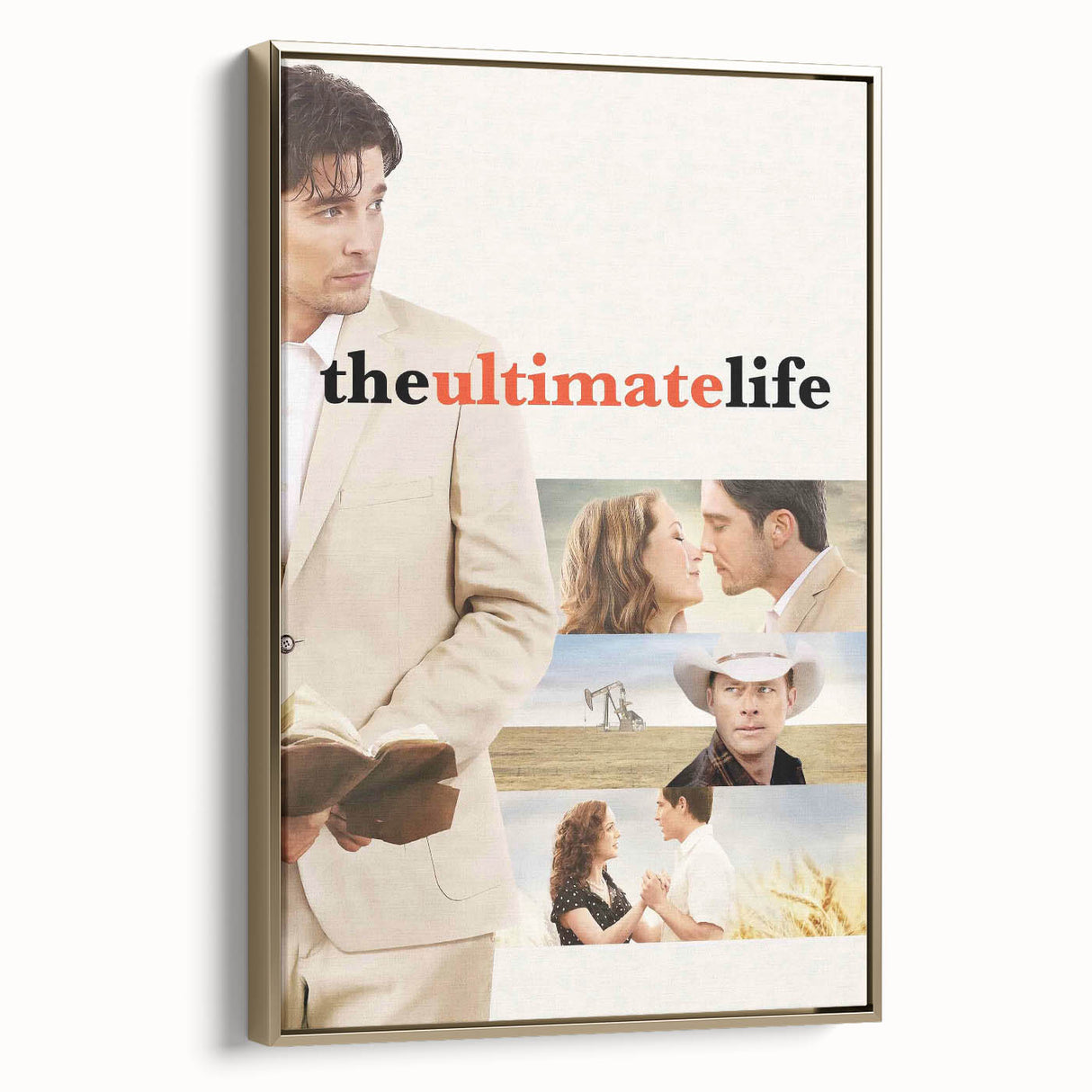 2010s Movie Poster Art - The Ultimate Life Vintage Movie Poster Print