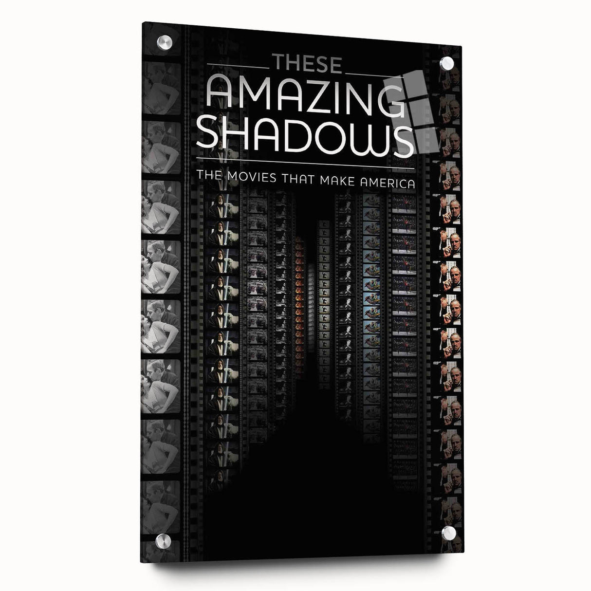 2010s Movie Poster Art - These Amazing Shadows Vintage Print