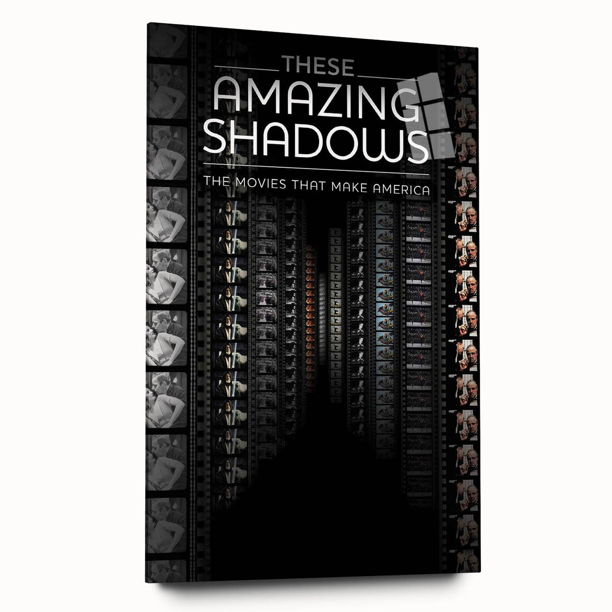 2010s Movie Poster Art - These Amazing Shadows Vintage Print
