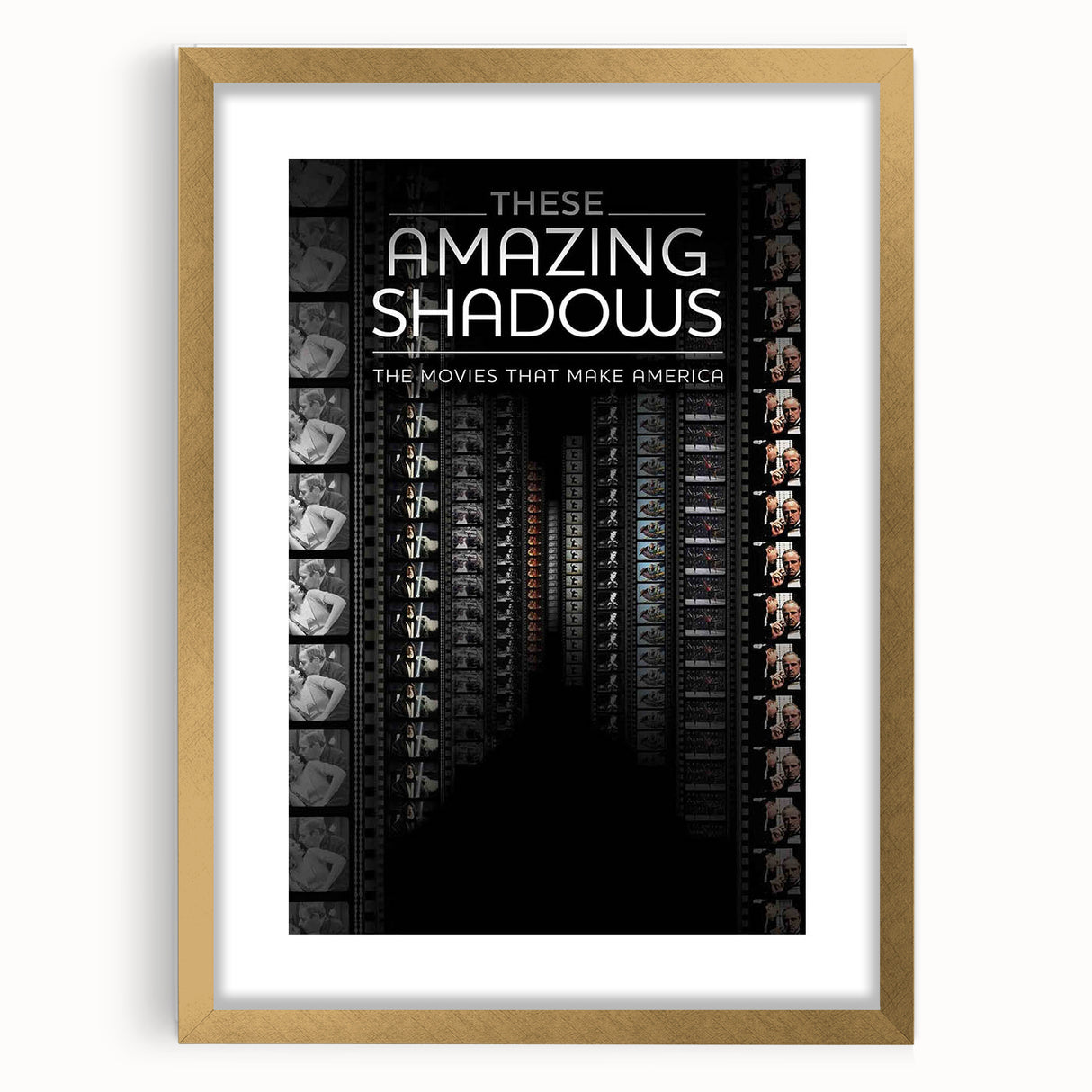 2010s Movie Poster Art - These Amazing Shadows Vintage Print
