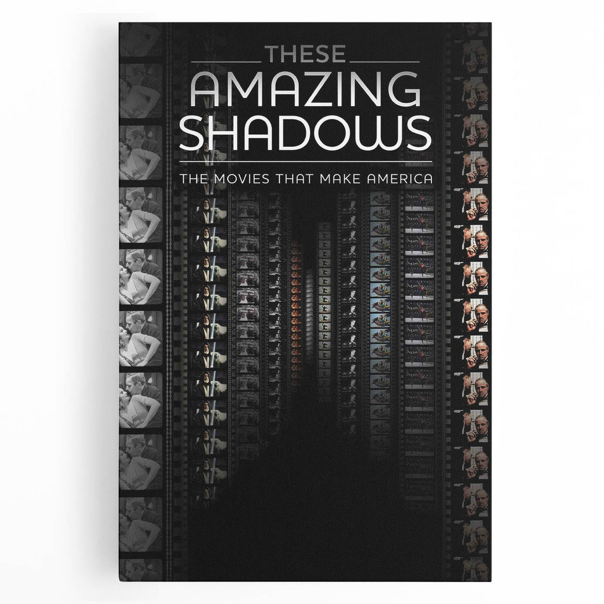 2010s Movie Poster Art - These Amazing Shadows Vintage Print