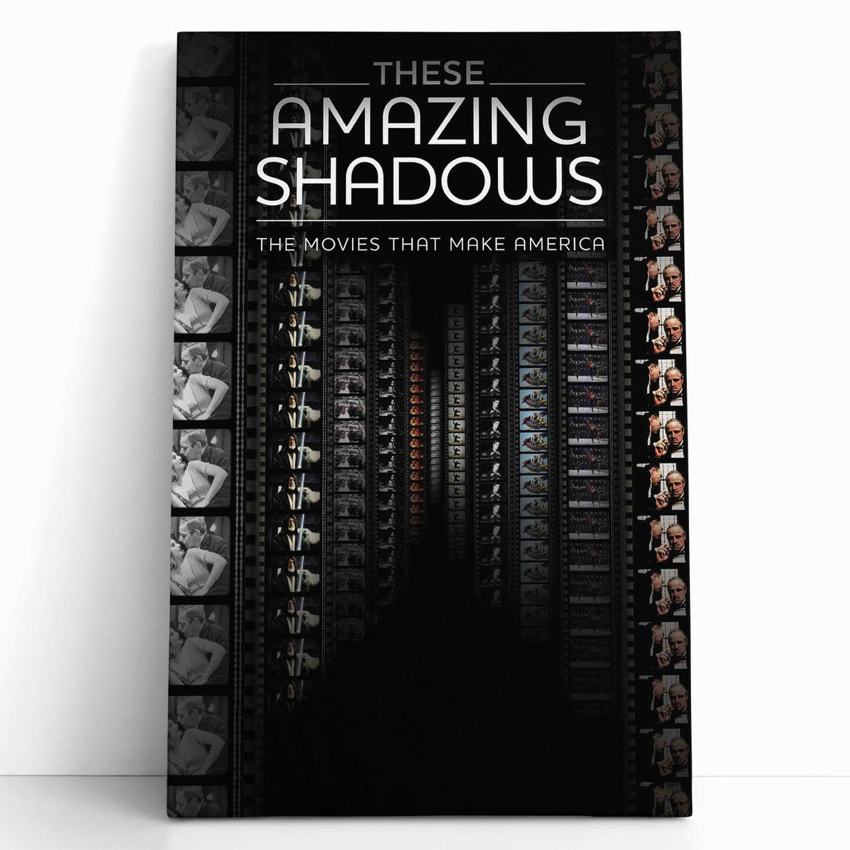 2010s Movie Poster Art - These Amazing Shadows Vintage Print