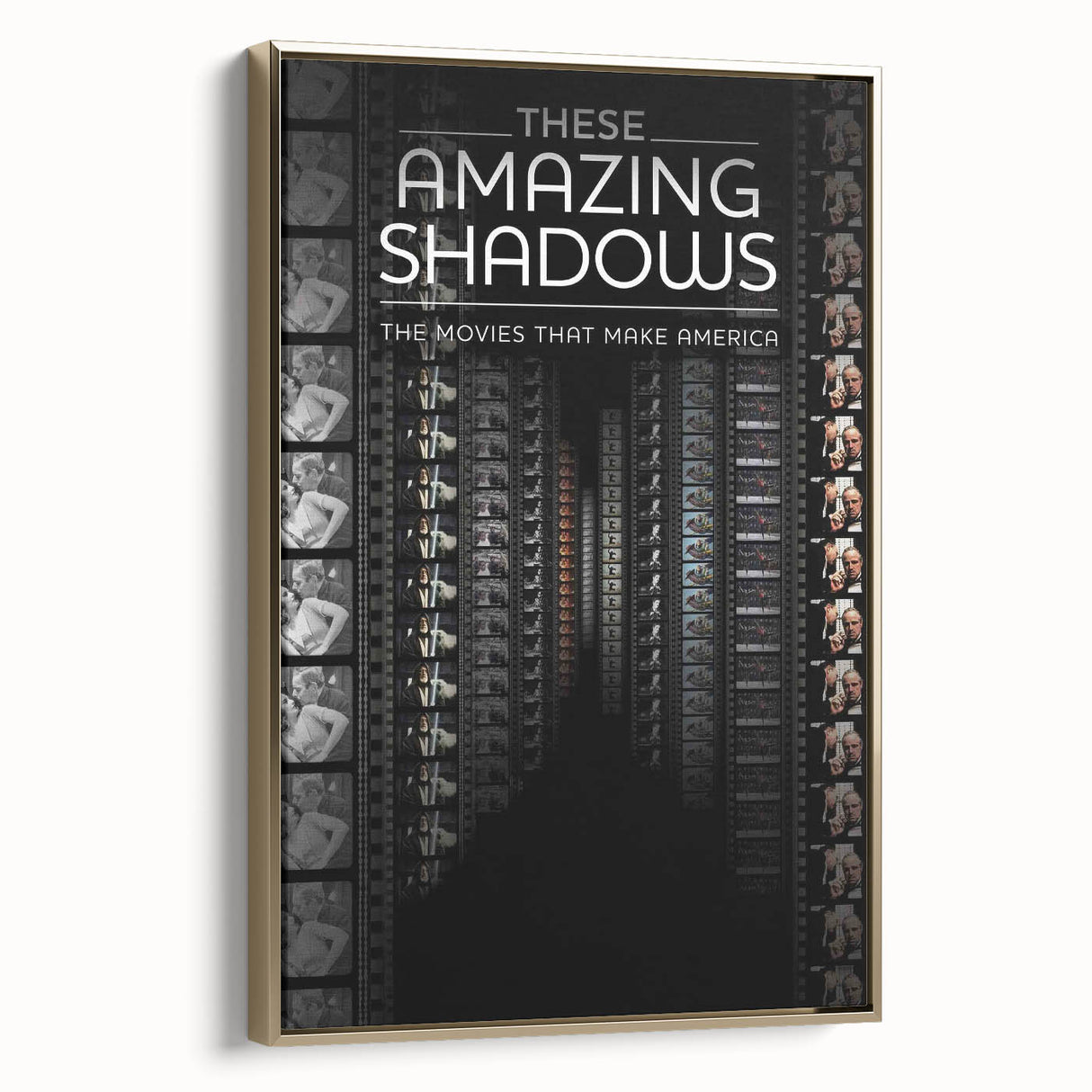 2010s Movie Poster Art - These Amazing Shadows Vintage Print