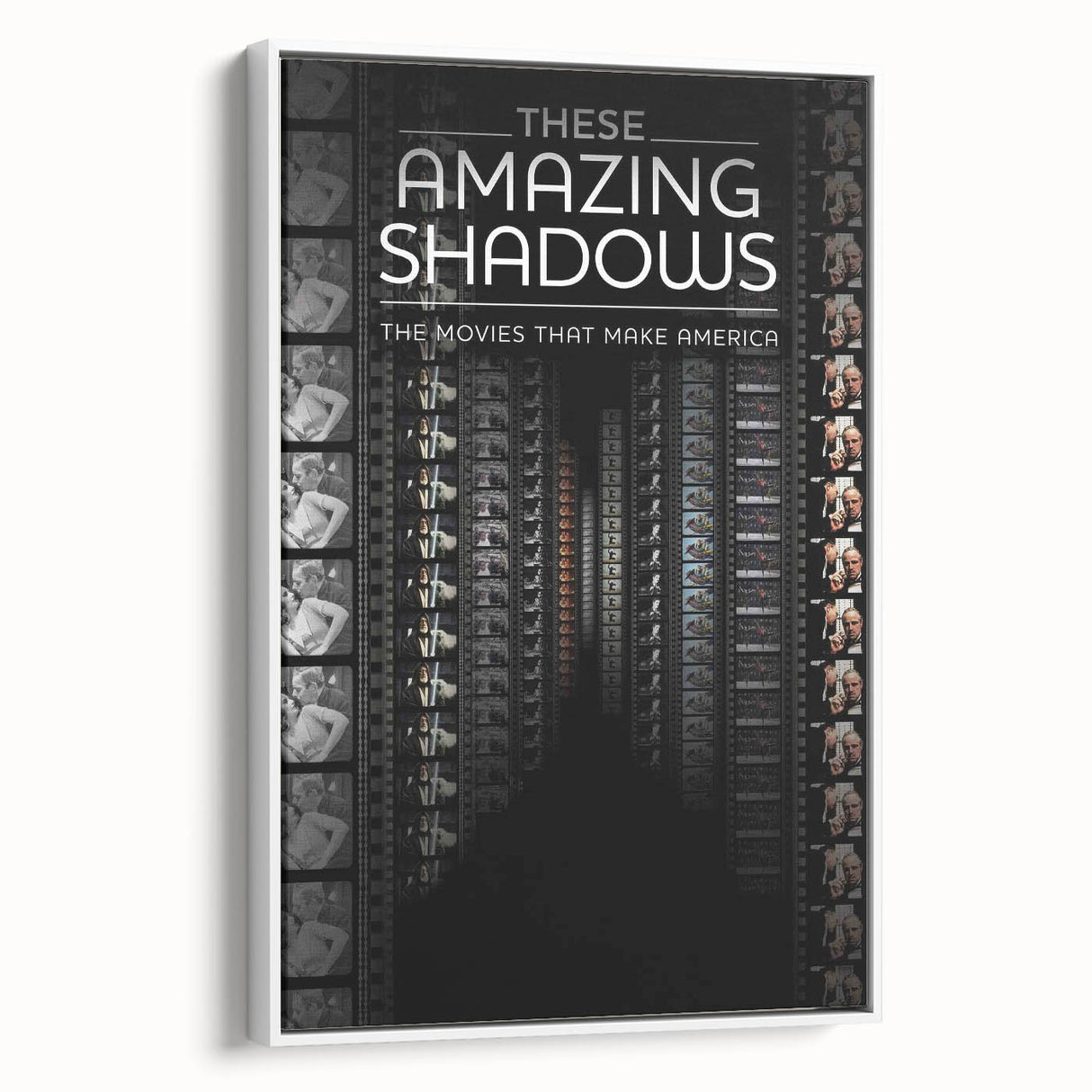 2010s Movie Poster Art - These Amazing Shadows Vintage Print