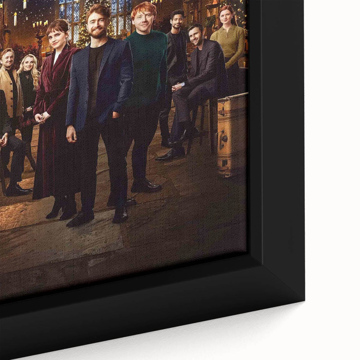 Harry Potter 20th Anniversary 2020s Vintage Movie Poster