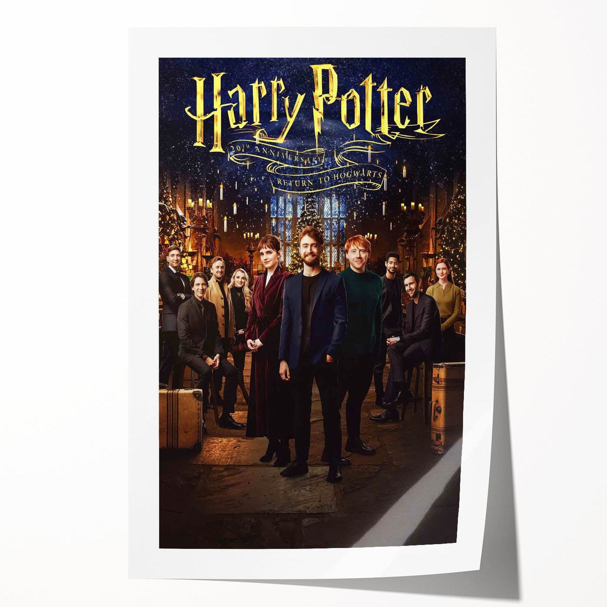 Harry Potter 20th Anniversary 2020s Vintage Movie Poster