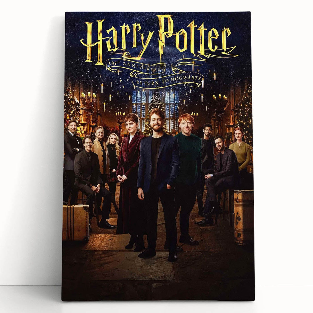 Harry Potter 20th Anniversary 2020s Vintage Movie Poster