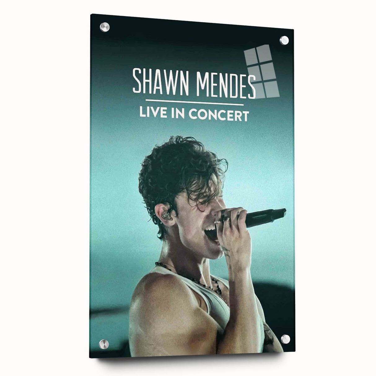 2020s Vintage Movie Poster - Shawn Mendes Live in Concert Music Art
