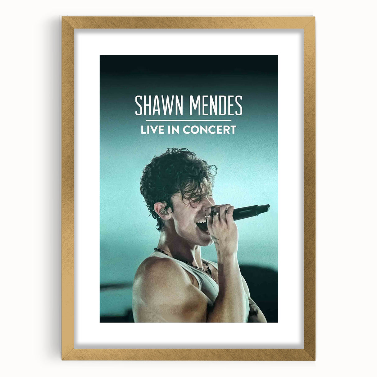 2020s Vintage Movie Poster - Shawn Mendes Live in Concert Music Art