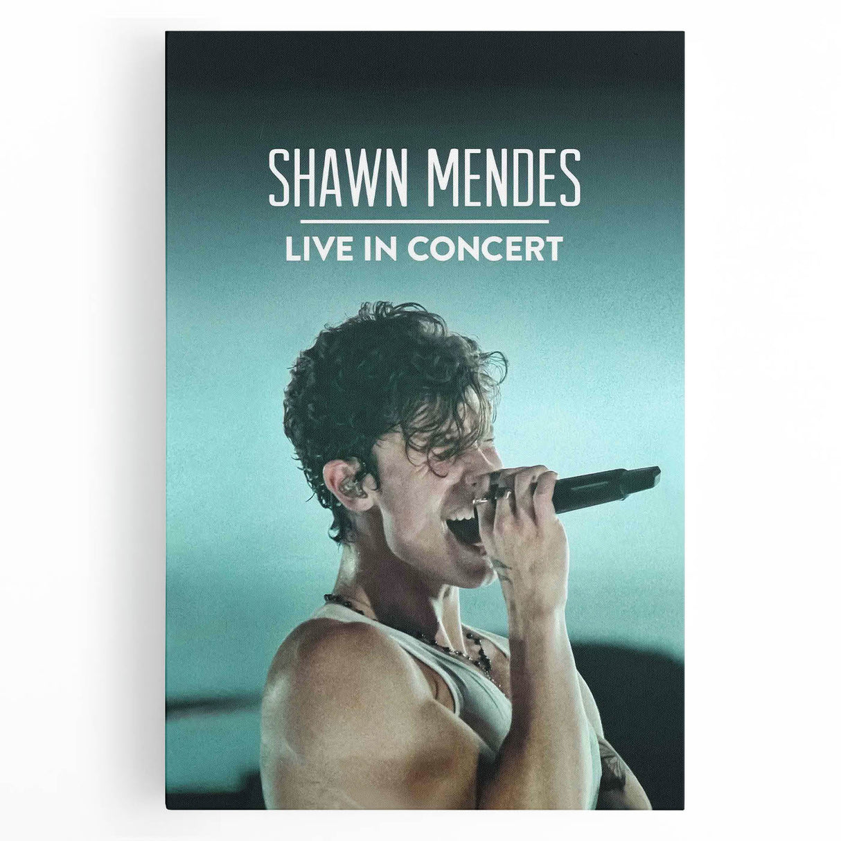 2020s Vintage Movie Poster - Shawn Mendes Live in Concert Music Art