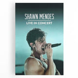 2020s Vintage Movie Poster - Shawn Mendes Live in Concert Music Art