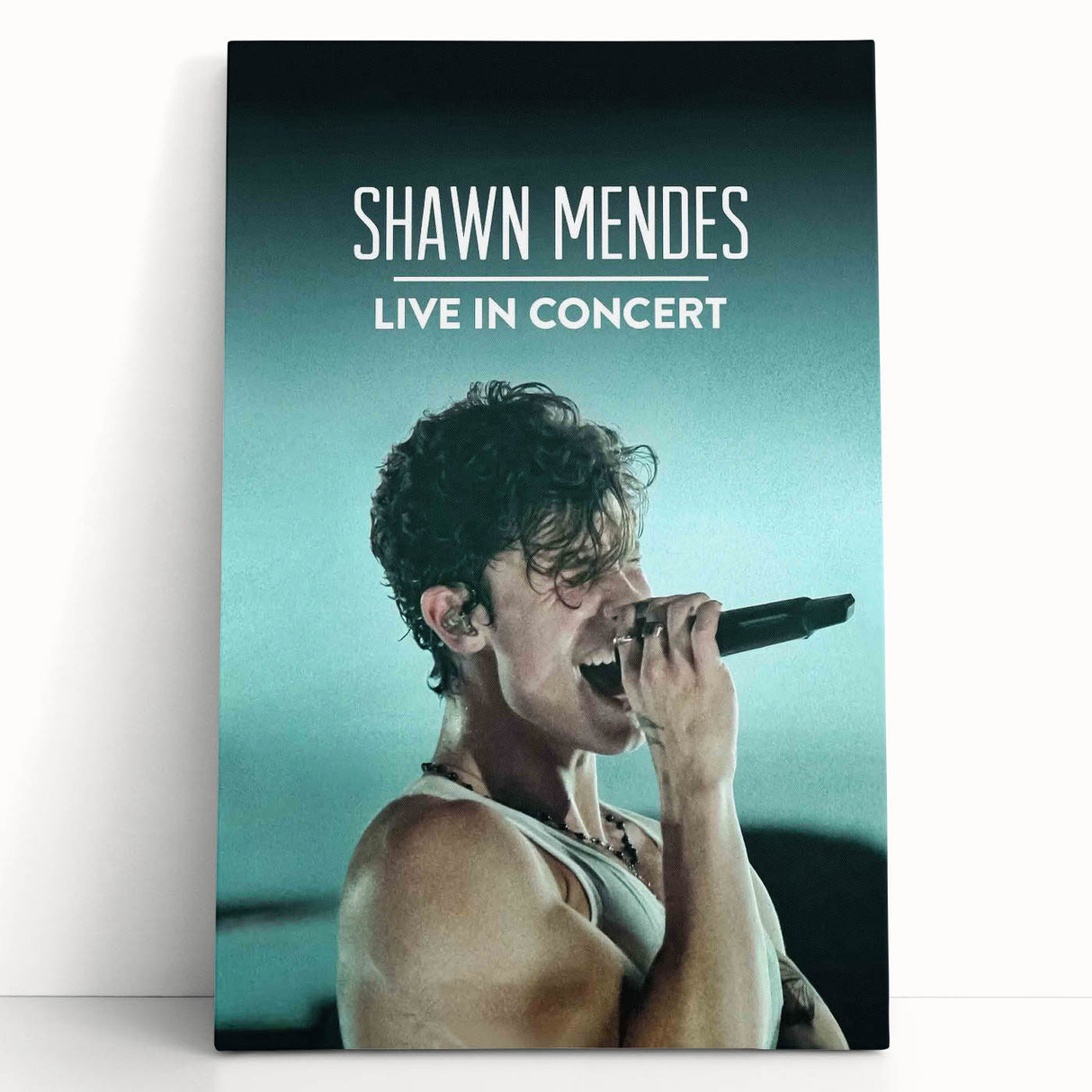 2020s Vintage Movie Poster - Shawn Mendes Live in Concert Music Art