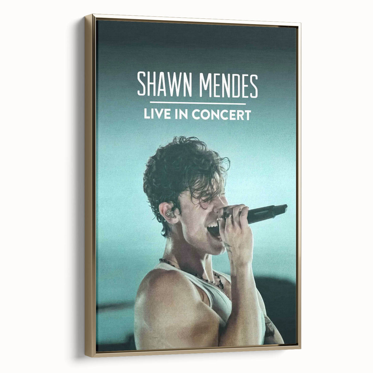 2020s Vintage Movie Poster - Shawn Mendes Live in Concert Music Art