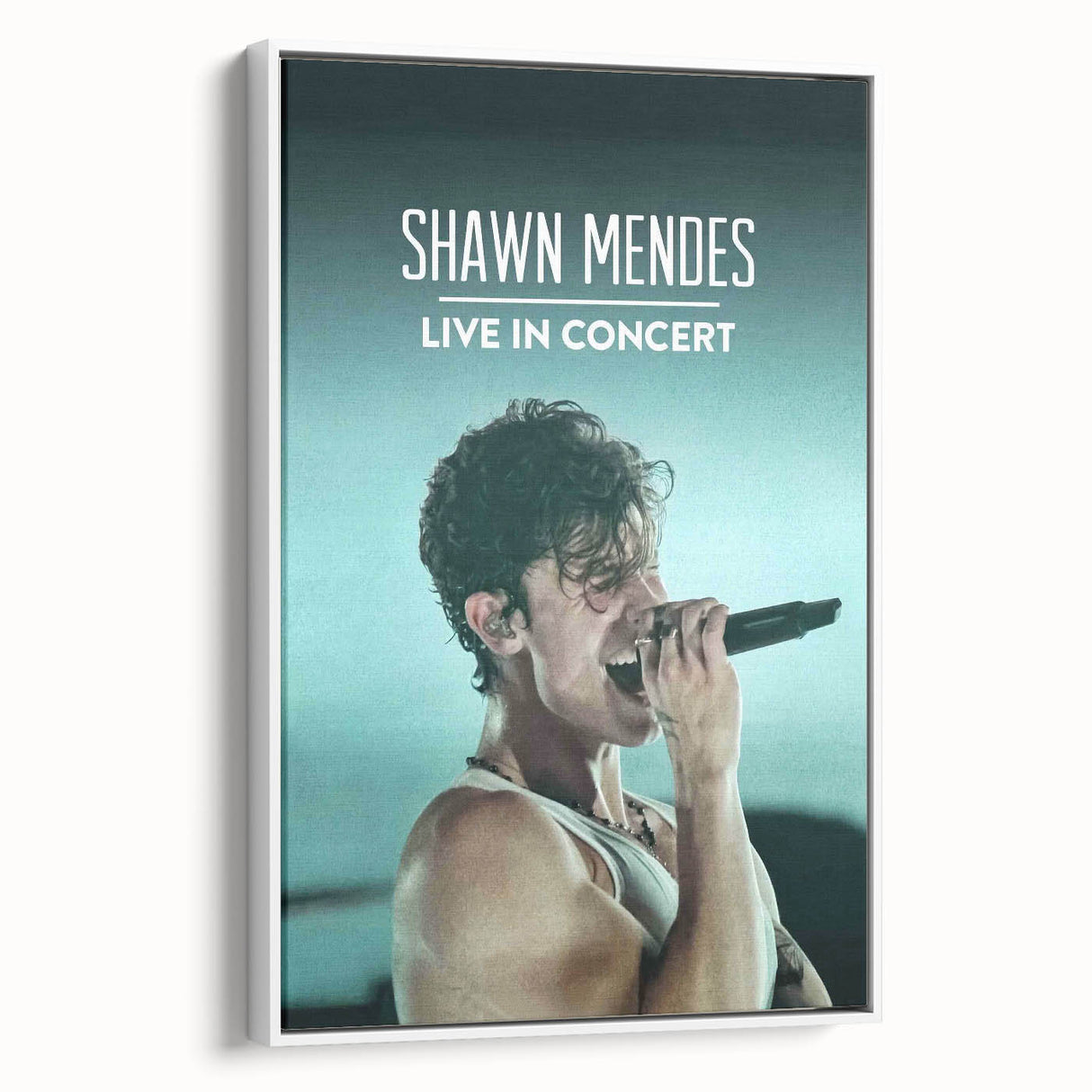 2020s Vintage Movie Poster - Shawn Mendes Live in Concert Music Art