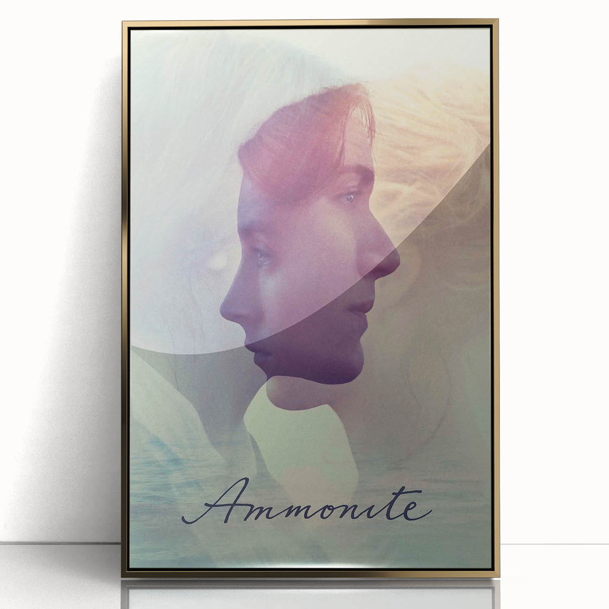 2020s Vintage Movie Poster - Ammonite Retro Film Art