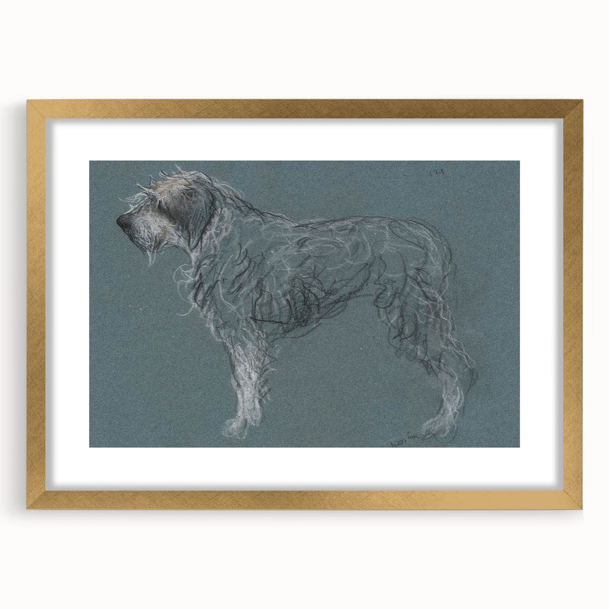 Vintage Animal Art – Sketch of a Dog in Classic Retro Illustration