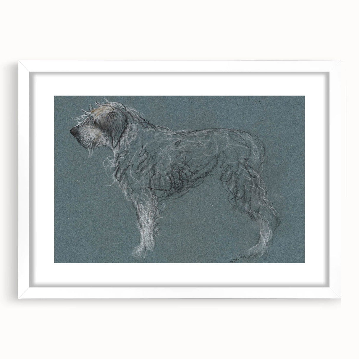Vintage Animal Art – Sketch of a Dog in Classic Retro Illustration