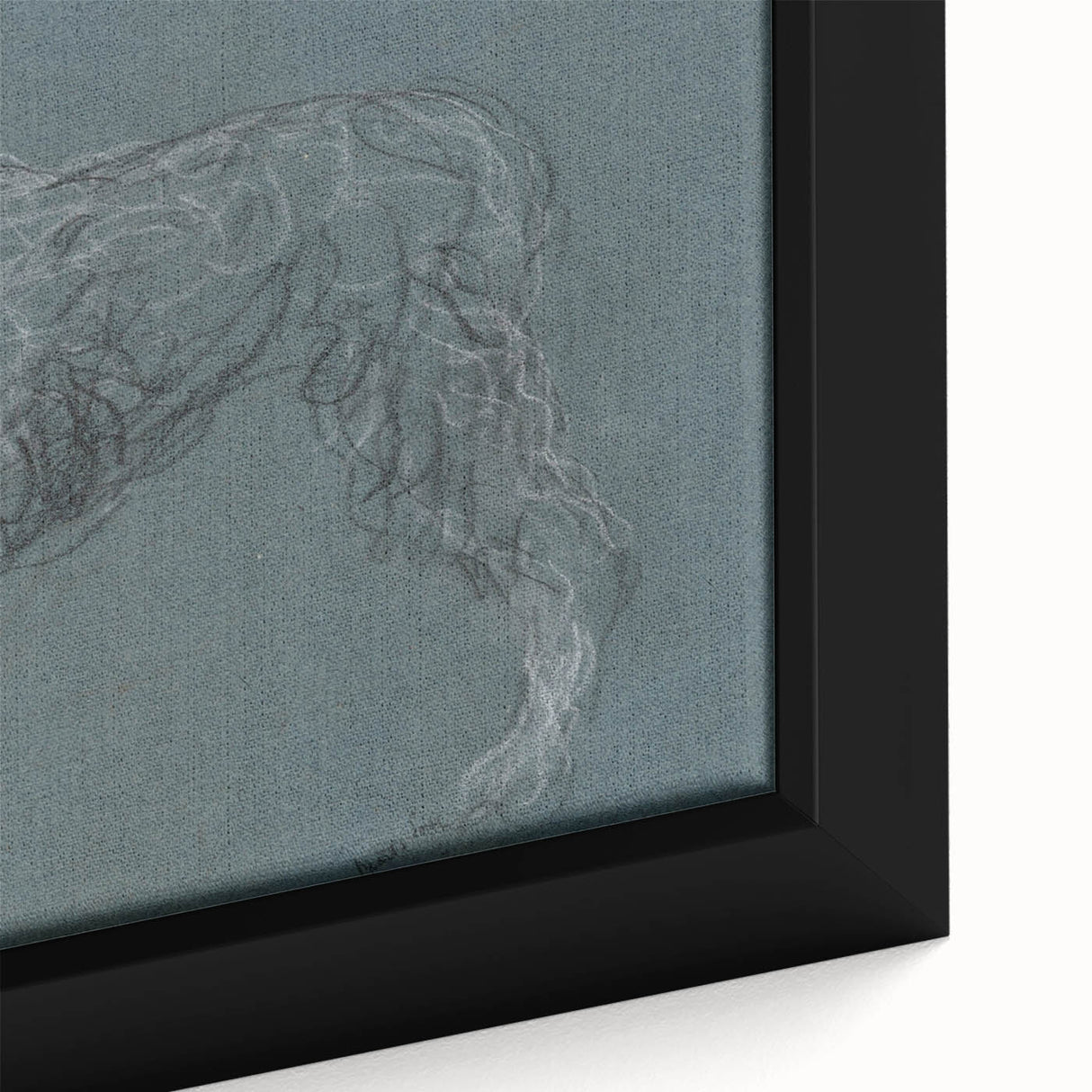Vintage Animal Art – Sketch of a Dog in Classic Retro Illustration