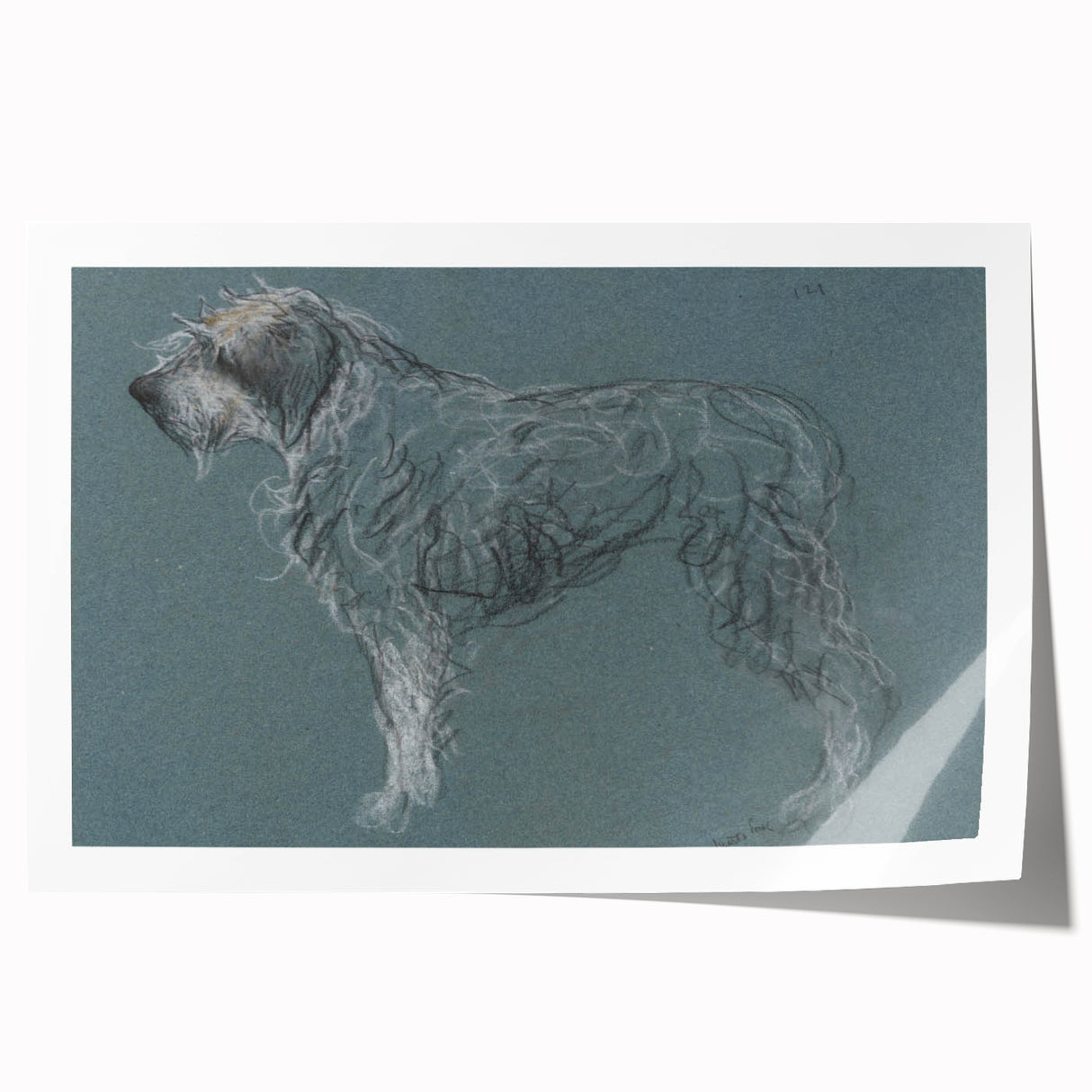 Vintage Animal Art – Sketch of a Dog in Classic Retro Illustration