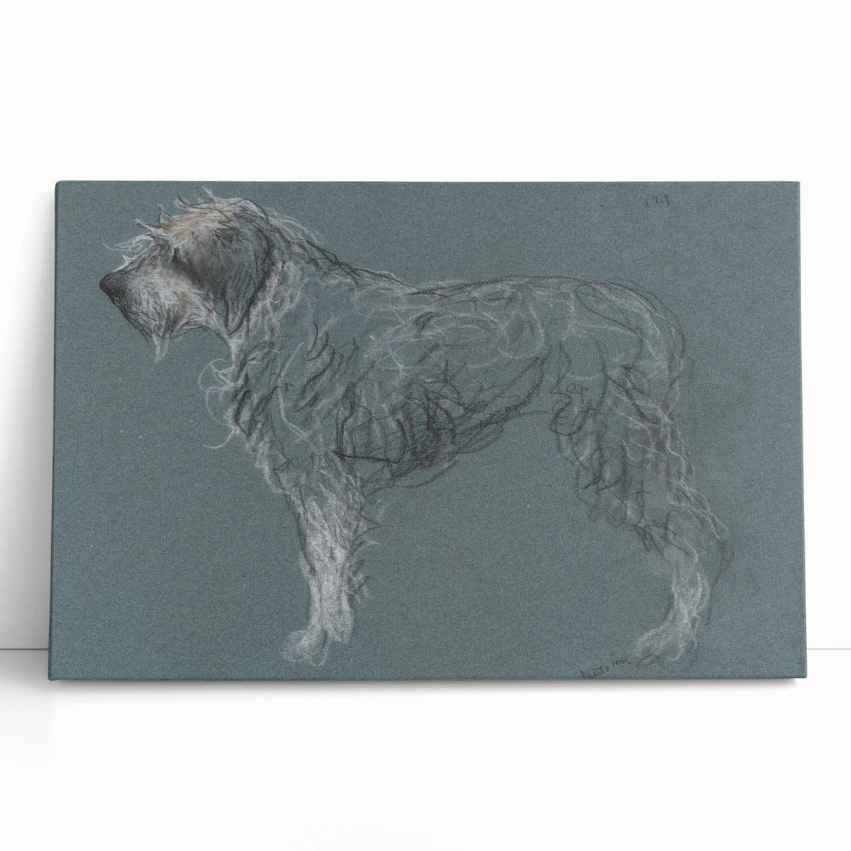 Vintage Animal Art – Sketch of a Dog in Classic Retro Illustration