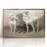 Vintage Animal Art: Trio of Dogs – Retro Wildlife Illustration