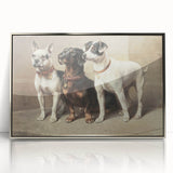 Vintage Animal Art: Trio of Dogs – Retro Wildlife Illustration