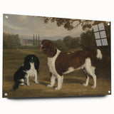 Vintage Animal Art: Two Dogs in Landscape – Retro Wildlife Illustration