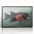Vintage Animal Art: Fish in Water | Antique Wildlife Prints