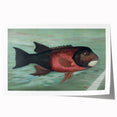 Vintage Animal Art: Fish in Water | Antique Wildlife Prints