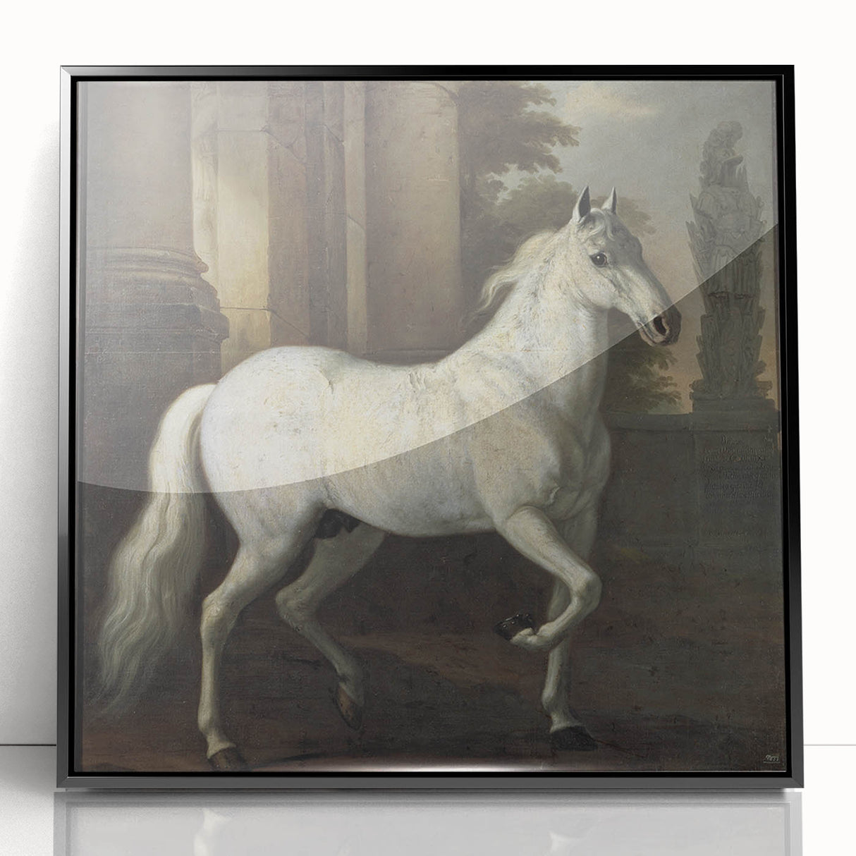 Vintage Animal Art - Classic White Horse Antique Wildlife Prints