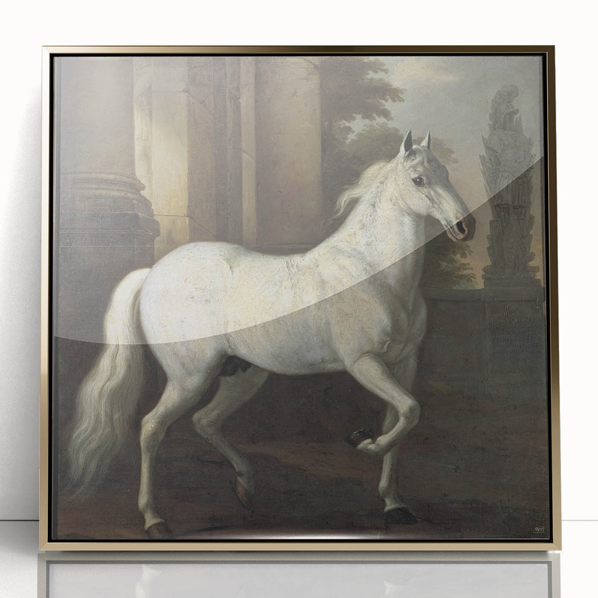 Vintage Animal Art - Classic White Horse Antique Wildlife Prints