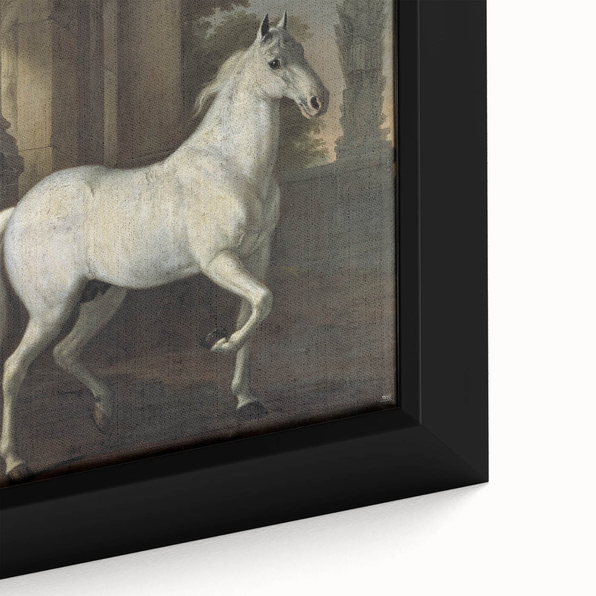 Vintage Animal Art - Classic White Horse Antique Wildlife Prints
