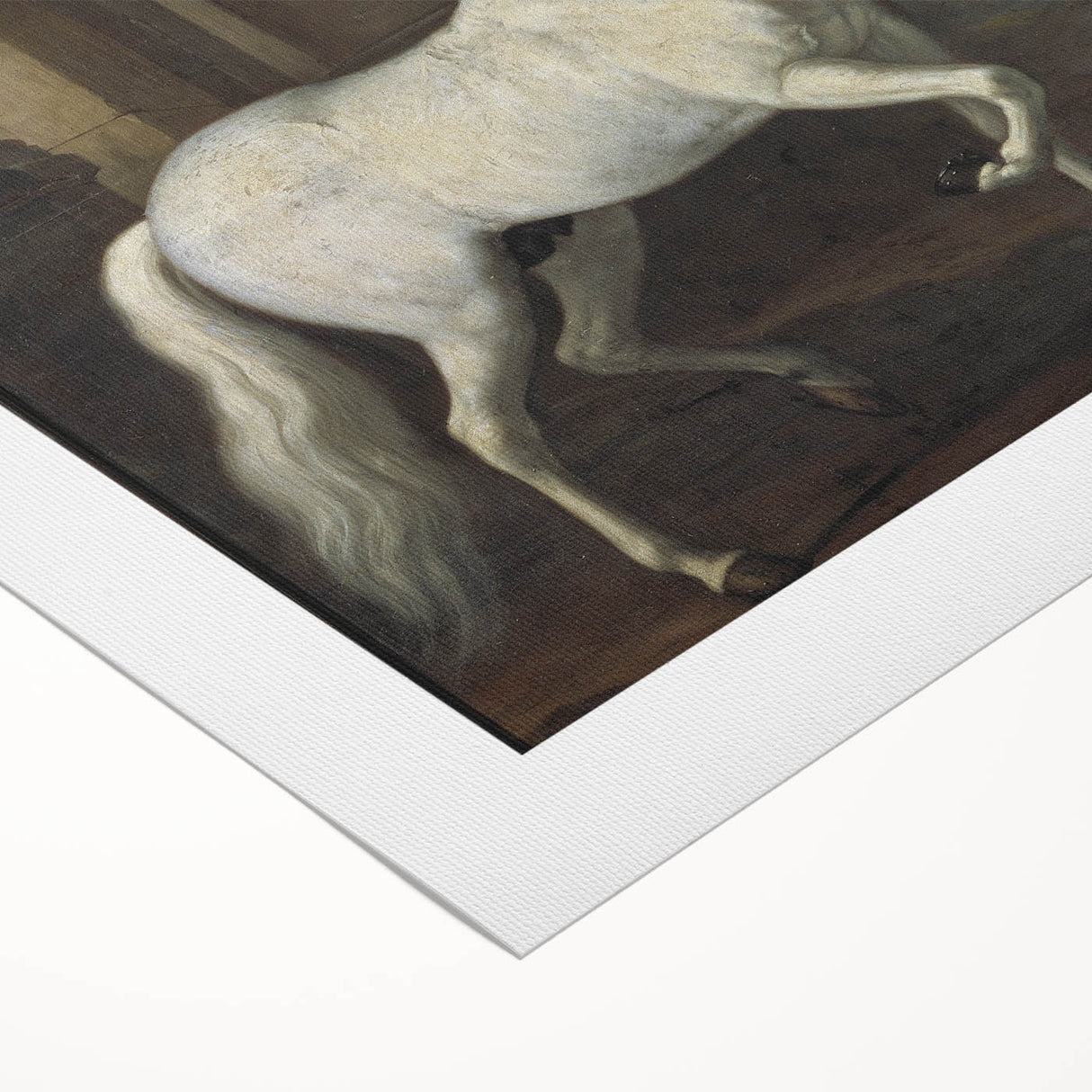 Vintage Animal Art - Classic White Horse Antique Wildlife Prints