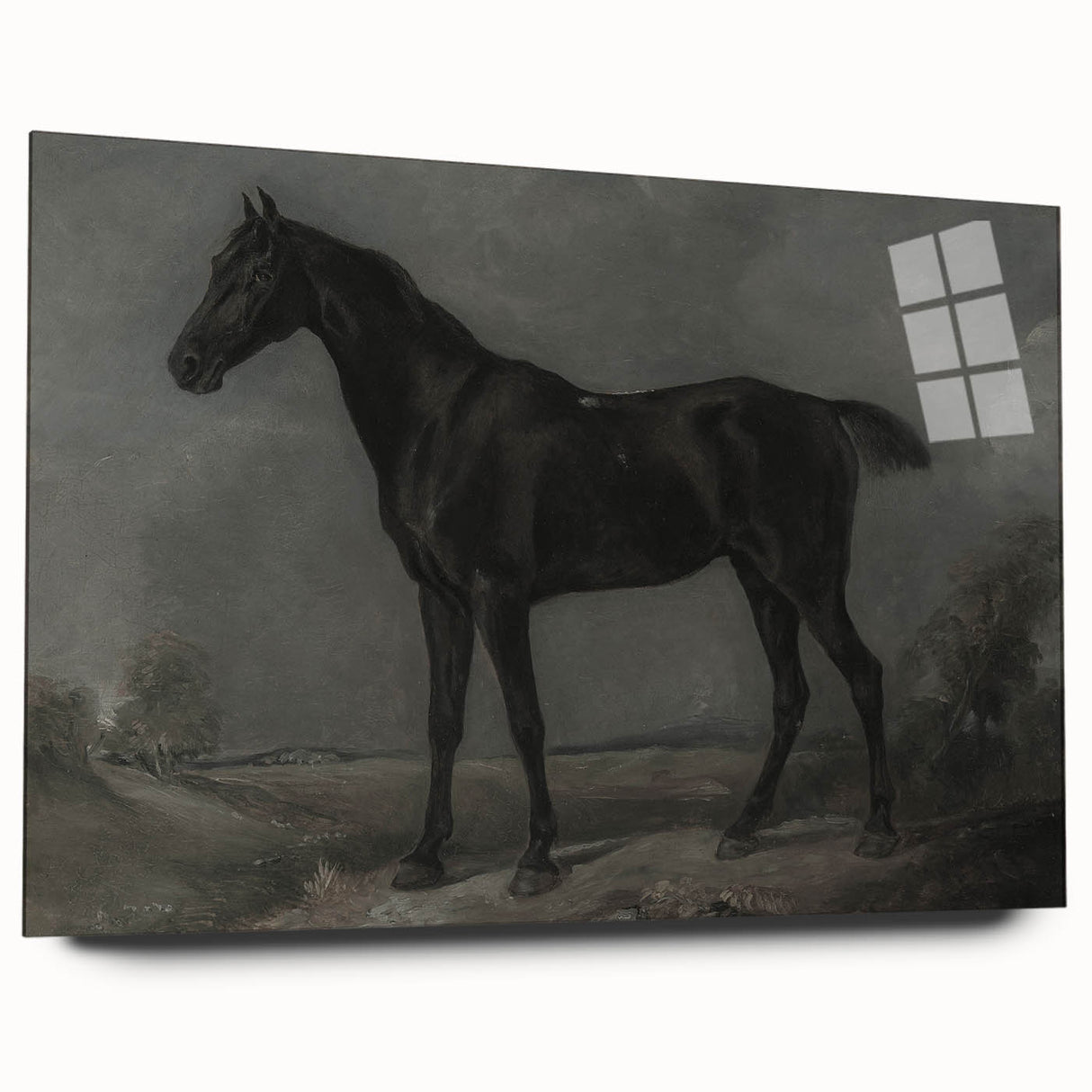 Vintage Animal Art - Majestic Black Horse Antique Wildlife Print