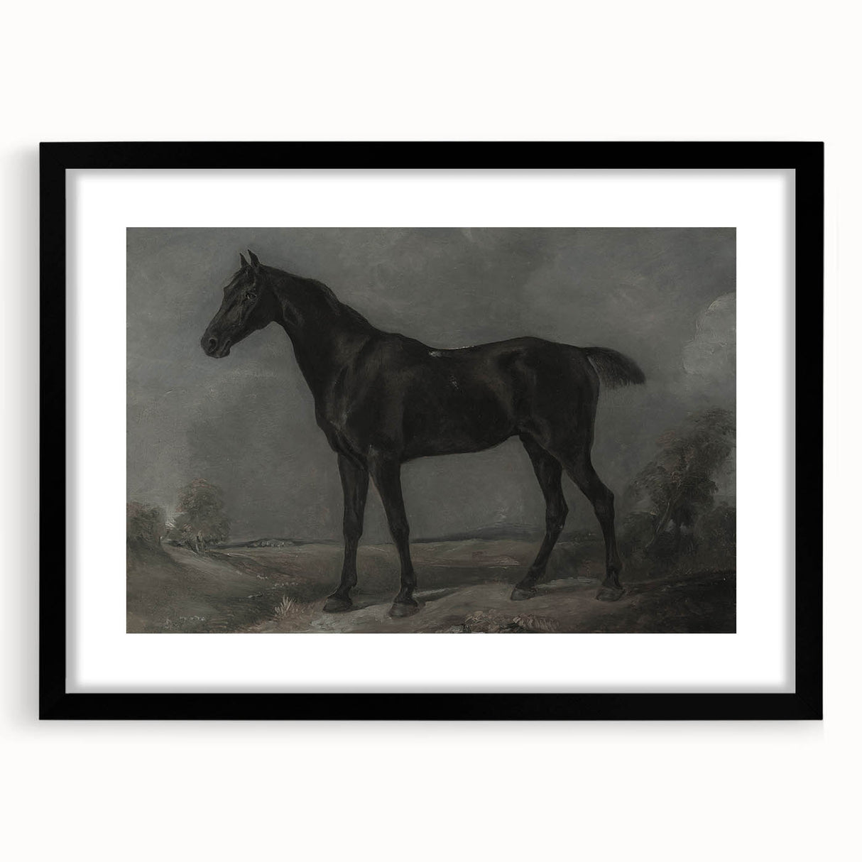 Vintage Animal Art - Majestic Black Horse Antique Wildlife Print